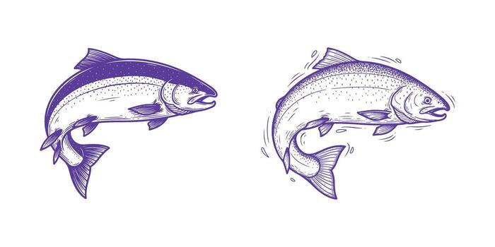 sketch of salmon. Illustration of a fish, hand-drawn and isolated on a white surface. In a retro design. vector