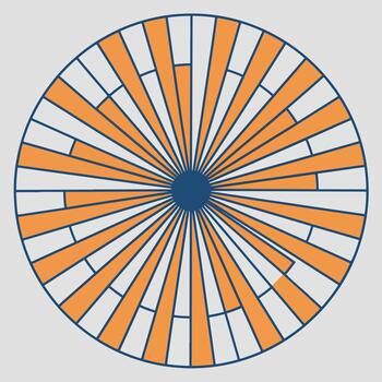 Circular Geometric Pattern with Radial Rays and Rectangular Segments vector
