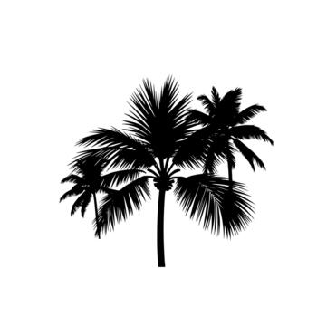 Silhouette of multiple palm trees isolated on white background, graphic illustration. vector