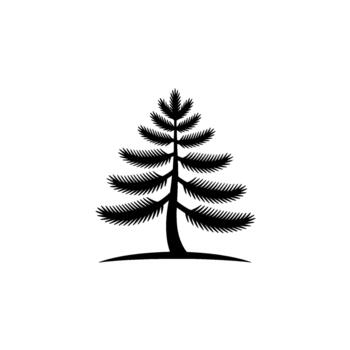 A stylized illustration of a single evergreen conifer tree with sharp needle like branches rendered in monochrome and gray vector