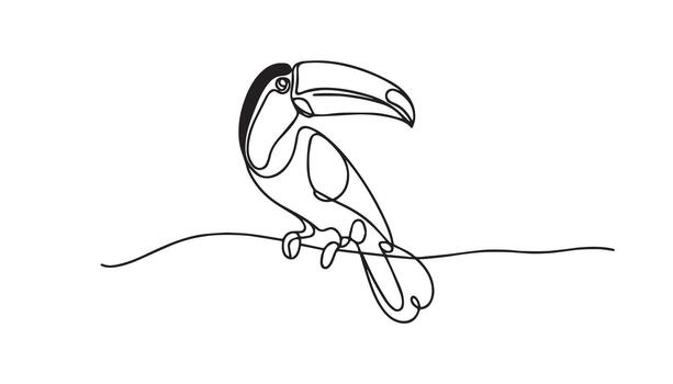 toucan bird continuous line drawing vector