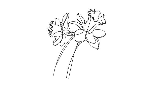 a continuous of a single flower on a white background vector