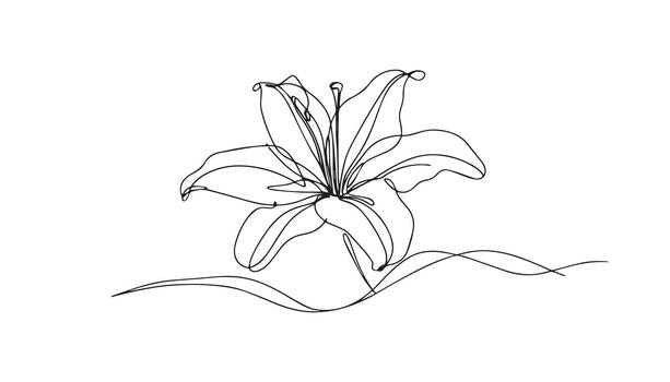 continuous line drawing of a lily on a white background vector