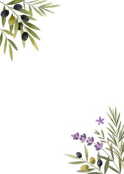 Delicate frame with watercolor herbs, lavender and olives. Botanical border with empty space for text. vector