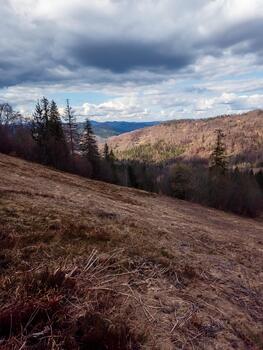 A view of a forested hillside with trees and a cloudy sky photo