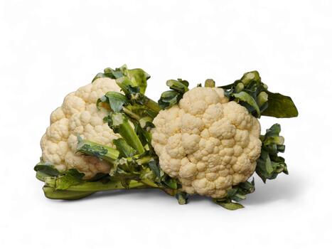 Abundant Fresh Cauliflower Heads Isolated on the White Background photo