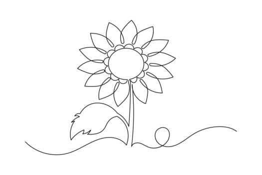 Sunflower minimalist outline created with continuous single line vector