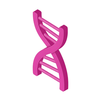 3d prestados rosado adn doble hélice estructura icono con retorcido escalera hebras en transparente fondo, genético código símbolo, biotecnología Ciencias investigación ilustración concepto png