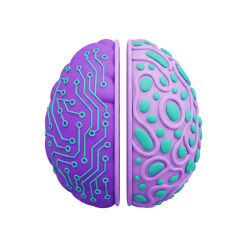 3d cerebro división en medio demostración circuito tablero tecnología patrones y orgánico neural caminos, artificial inteligencia máquina aprendizaje humano cognición innovación concepto icono png