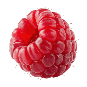 Closeup of a single ripe raspberry isolated on transparent background, showcasing its vibrant red color, juicy texture, and intricate segmented structure png