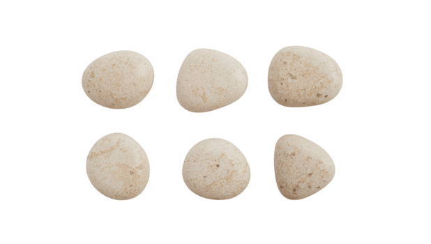 sechs Beige Steine sind vereinbart worden auf ein Weiß Oberfläche, Erstellen ein einfach und sauber Komposition isoliert auf transparent Hintergrund png