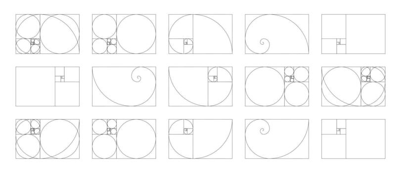 Horizontal Fibonacci numbers array set of 15 elements. Template of golden ratio harmony proportions. vector