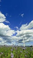 vind turbiner rotera en bakgrund av vit moln flytande i en blå himmel. de produktion av rena energi inträffar på en solig dag, en testamente till hållbar utveckling. video