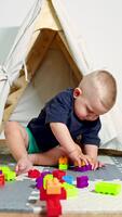 bambino piccolo ragazzo si siede a casa su un' tappeto e costruisce un' Torre un' costruzione impostare. autosviluppo di un' bambino, sviluppo di bene il motore abilità di mani nel bambini. bambino giochi con un' costruzione impostato video