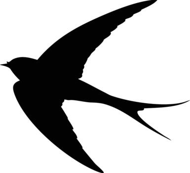 A striking silhouette of a swift bird in dynamic mid flight elegantly soaring vector