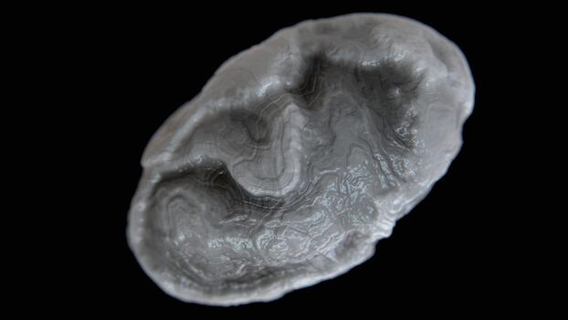 Abstract organic 3d structure with biological texture and depth of field on black background photo