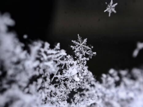 Perfect Six-Pointed Snowflake Crystal Macro Against Dark Background photo