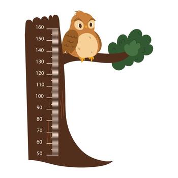 Kids Ruler With Cute Owl Sitting On Tree. Height Meter With Funny Forest Bird And Centimeter Scale. Growth Chart vector