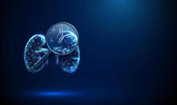 3D illustration of human kidneys vector