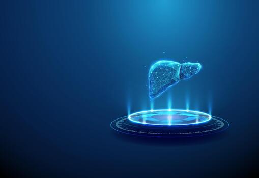 3D digital liver model visualization vector
