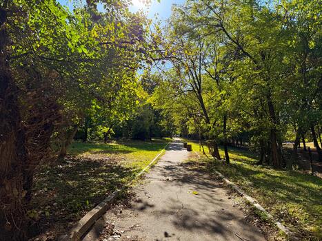 Sunlit park path surrounded by trees and shadows. Harmony, rest, and connection with living nature. photo