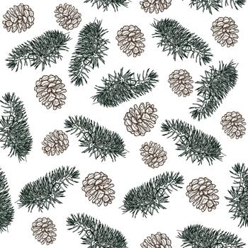 sin costura modelo de pino conos y abeto sucursales. vector