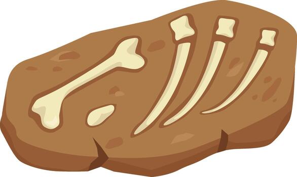 Fossilized animal bones remaining in brown rock vector