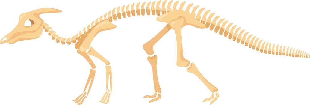 Parasaurolophus skeleton displaying prehistoric dinosaur bone structure vector