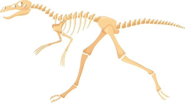 dinosaurio esqueleto fósil huesos estructura en blanco vector