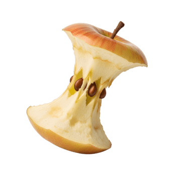 un' parzialmente mangiato Mela nucleo con visibile semi isolato su un' trasparente sfondo isolato su trasparente sfondo png