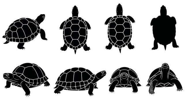 Collection of turtle silhouettes in various poses isolated on white background for design elements vector