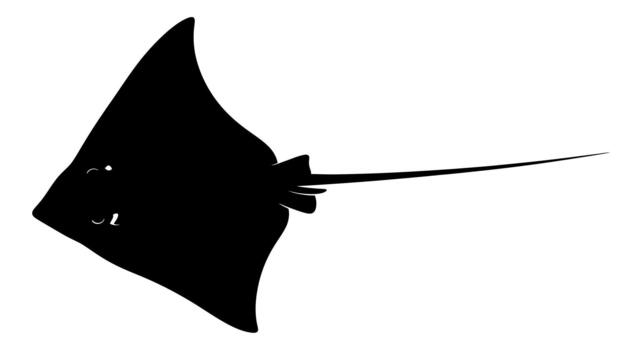 Silhouette of a stingray with a long tail on a white background on transparent background vector
