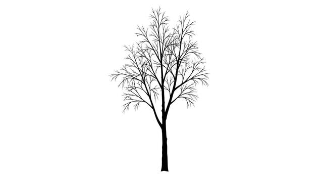 un silueta de un caduco árbol con desnudo ramas en blanco vector