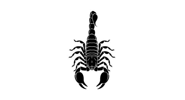 Isolated black scorpion with claws on a plain white background on transparent background vector