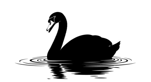 Silhouette of a swan swimming in water with ripple effect on transparent background vector