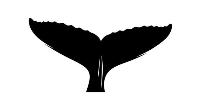 Silhouette of a whale tail on a plain white background view on transparent background vector