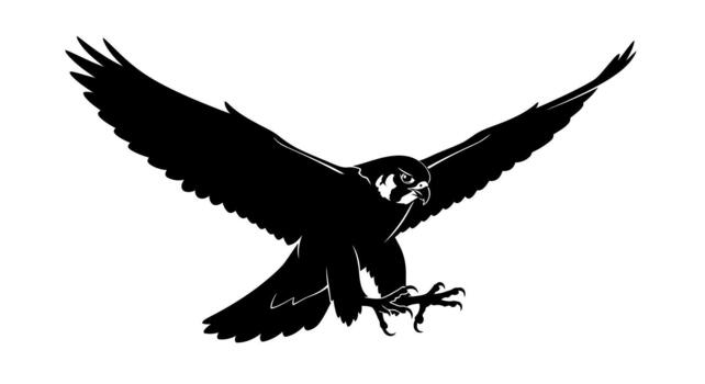 Silhouette of a falcon with wings spread on a white background on transparent background vector