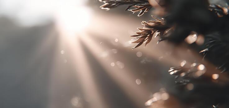 Serene beauty of forest bathing invites deep meditation as sunlight filters through trees creating tranquil atmosphere filled with gentle rays and soft shadows photo