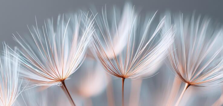 Delicate spa elements create serene atmosphere for wellness and relaxation, enhancing therapy experience with soft textures and gentle colors photo