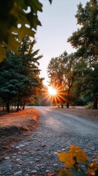 Serene landscape captures gravel path surrounded by trees at sunset, where sun rays create beautiful starburst effect. This scene promotes mental health and wellness through its calming nature photo