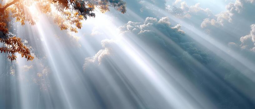 Autumn landscape showcases soft rays of sunlight filtering through trees creating serene atmosphere filled with tranquility and beauty photo