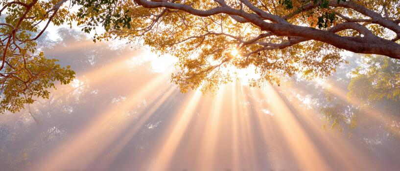 Golden rays of sunlight filter through branches of trees creating serene autumn landscape filled with warmth and tranquility. Nature beauty captivates senses and inspires peace photo