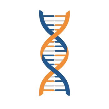 Abstract graphic representation of a DNA double helix, symbolizing genetics, science, and biological research vector