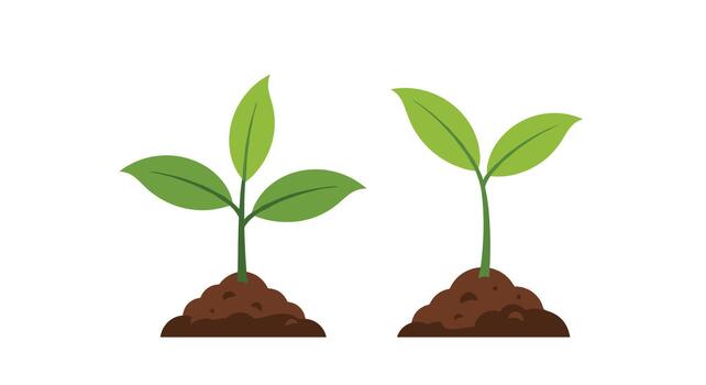 Two small green plants growing from dark soil in a white background. vector