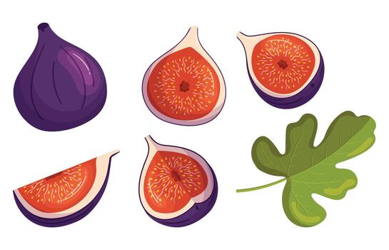 Set Of Figs Sweet, Juicy Fruits And Tree Leaf. Isolated Fig With Soft Skin And Unique Texture And Small Edible Seeds vector