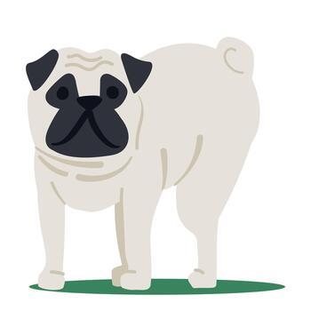 Comical Pug Dog Isolated on White Background. Funny Pet with with Humorous Expression And Playful Pose Illustration vector