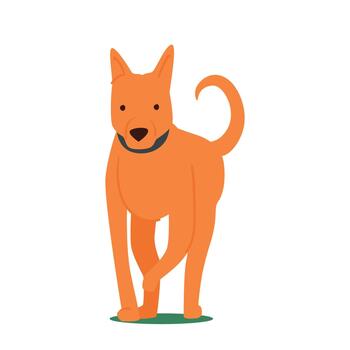 Cute Dog, Adorable Gold Puppy With Playful Expression Running Front View Isolated On White Background. Happy Pet vector