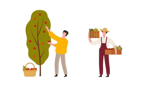 Man Farmer in Straw Hat Gathering Apple from Tree and Carrying Crate with Crops Illustration Set vector