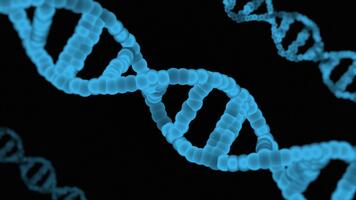 artístico giratorio de un adn hélice molécula en futurista Copiar espacio animación antecedentes. video