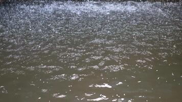 närbild se av regndroppar faller in i en lugna vatten yta skapande krusningar och stänk i en dyster miljö av en naturlig miljö video